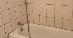 448 E 84th Pl – FOR LEASE!