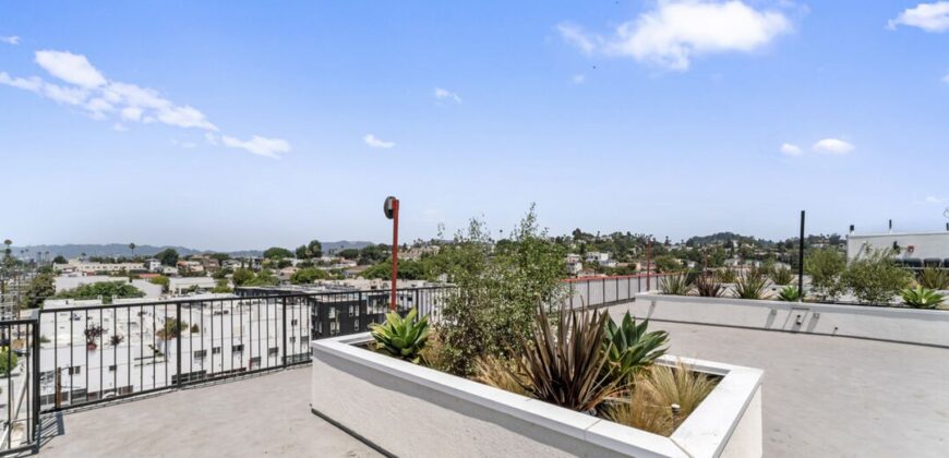 Brand New Luxury Living Now Leasing! 3105 Bellevue Ave #407