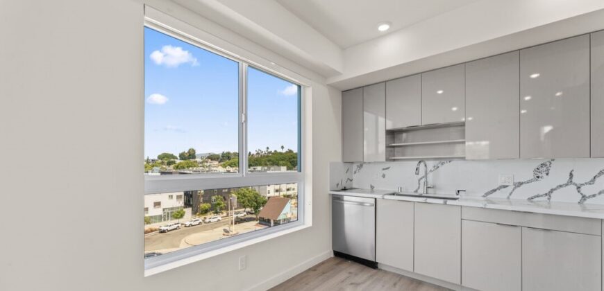 Brand New Luxury Living Now Leasing! 3105 Bellevue Ave #401