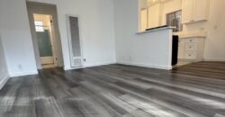 Beautiffully Remodeled 1Bed / 1Bath FOR RENT – 955 N St Andrews Pl!