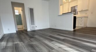 Beautiffully Remodeled 1Bed / 1Bath FOR RENT – 955 N St Andrews Pl!