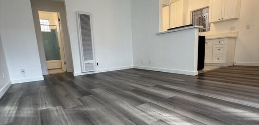 Beautiffully Remodeled 1Bed / 1Bath FOR RENT – 955 N St Andrews Pl!