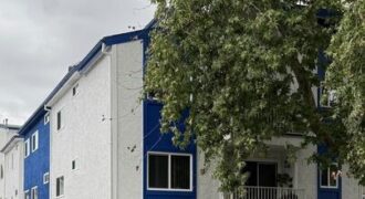 1Bed/1Bath – FOR RENT! 3729 Delmas Ter.