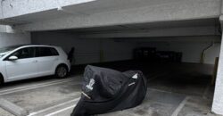 1Bed/1Bath – FOR RENT! 3729 Delmas Ter.