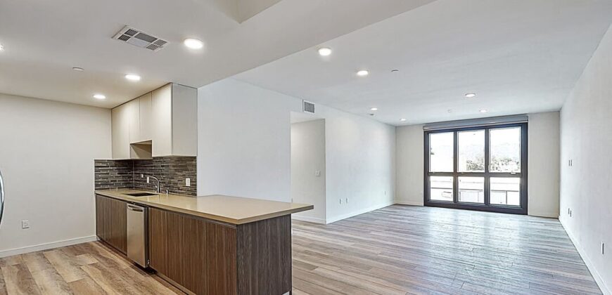 Newer Constructed 20 Unit Luxury Apartment – FOR SALE!