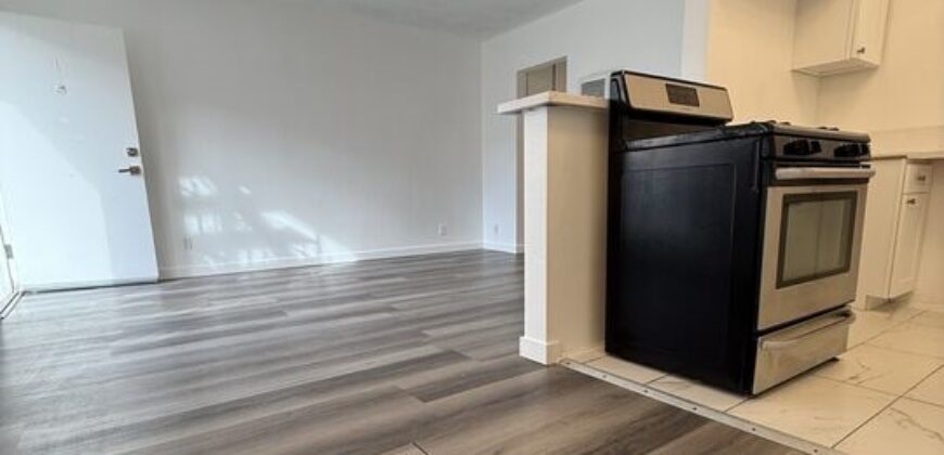 Beautiffully Remodeled 1Bed / 1Bath FOR RENT – 955 N St Andrews Pl!